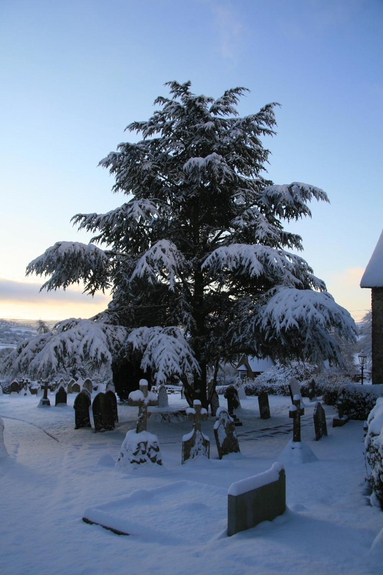 The Belfry At Yarcombe Bed & Breakfast Exterior photo